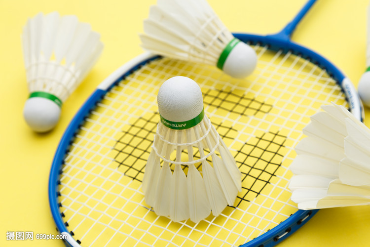 的场均得分 的场均得分